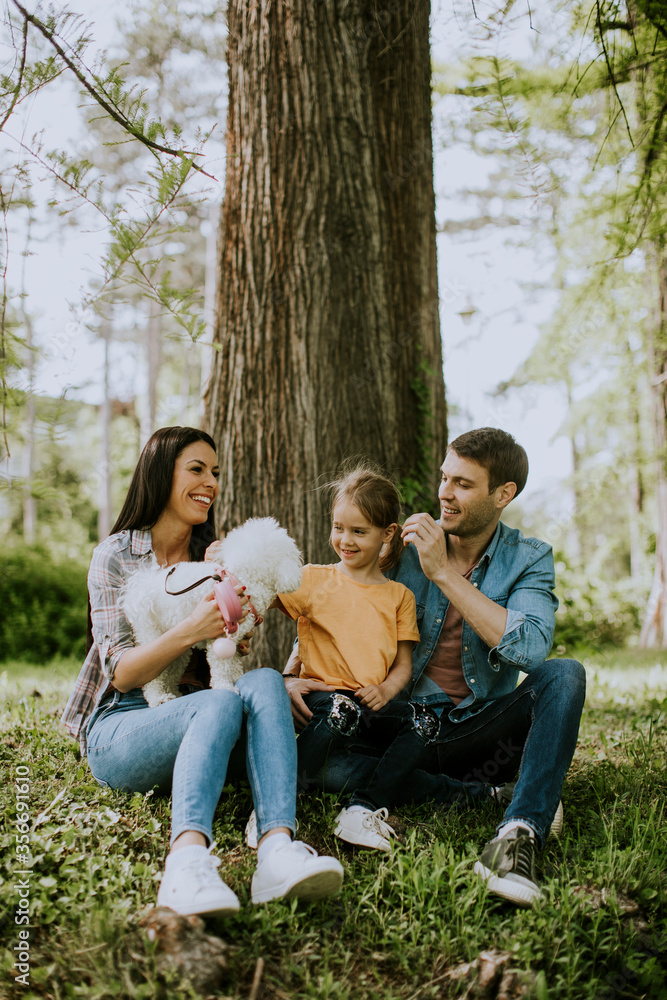 Happy family with cute bichon dog in the park Happy family with cute bichon dog in the park