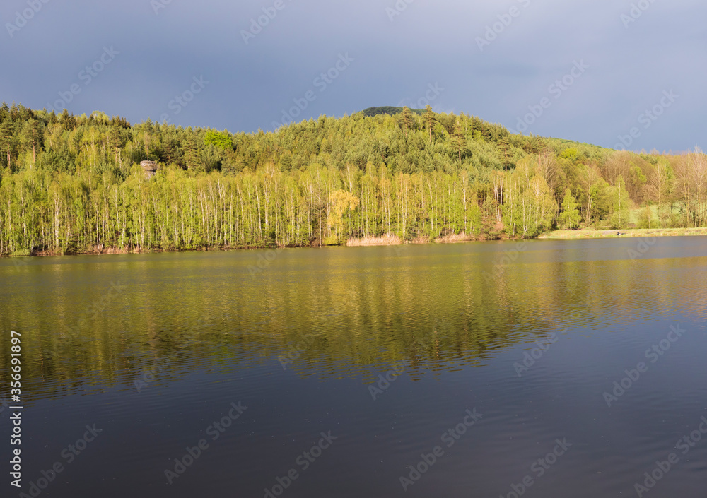 Fototapeta premium view on calm water of forest lake, fish pond Kunraticky rybnik with birch and spruce trees growing along the shore and clear blue sky in golden sun light. Nature background. Spring landscape