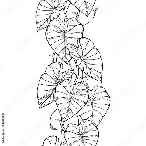 Seamless pattern with outline tropical plant Colocasia esculenta or  Taro leaf bunch in black on the white background. 