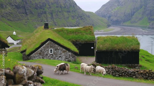 Summer scene of Saksun village with typical turf-top houses and Saksunar Kirkja, Faroe Islands. Wonderful morning view of Streymoy island, Kingdom of Denmark, Europe. Full HD video (High Definition).