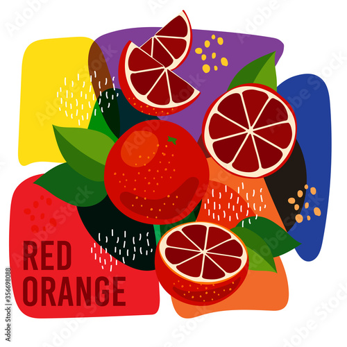vector illustration of ripe red blood orange fruits on abstract background. eco concept for natural red blood orange fruit label.