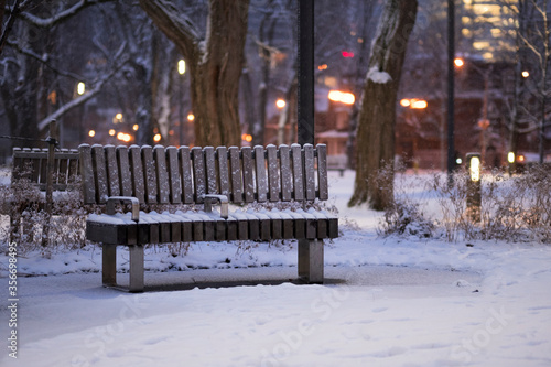 Photography Snow covered wood park bench in evening light.