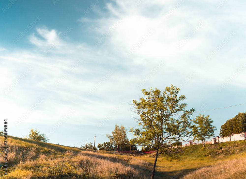 Fototapeta premium autumn landscape with a road