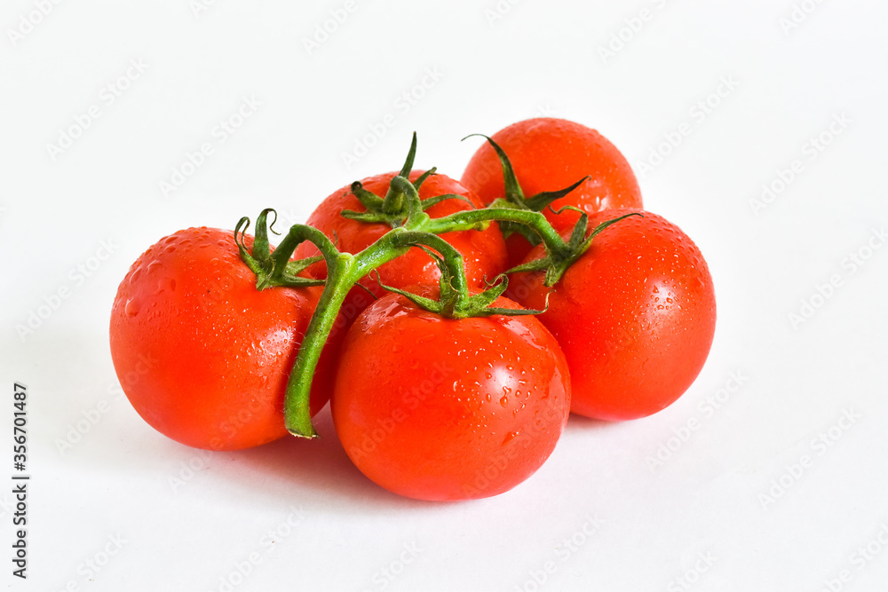 Tomatoes on a branch with water drops isolated on a white background. place for text Tomatoes on a branch with water drops isolated on a white background. place for text