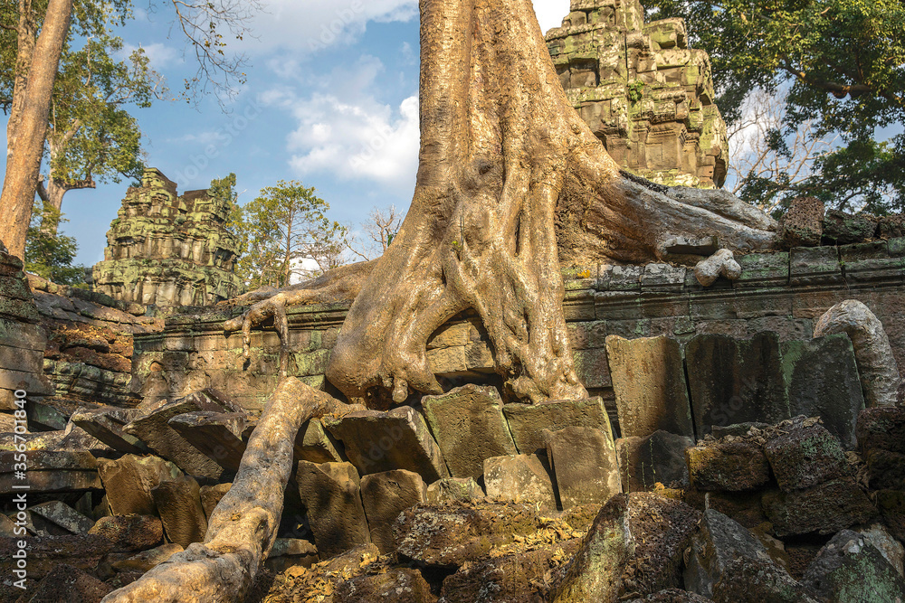 Ruins Ta Prohm temple and Banyan Tree Roots, Angkor Wat complex, Siem Reap, Cambodia. Ruins Ta Prohm temple and Banyan Tree Roots, Angkor Wat complex, Siem Reap, Cambodia.