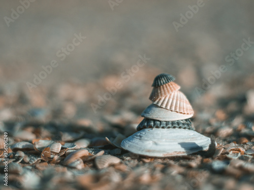 Close-up of a zen-style standing beach shells on the sandy beach in sunny day. Copy space, holidays and summer is coming concept. Stack of Sea shell at the beach with sea on background
