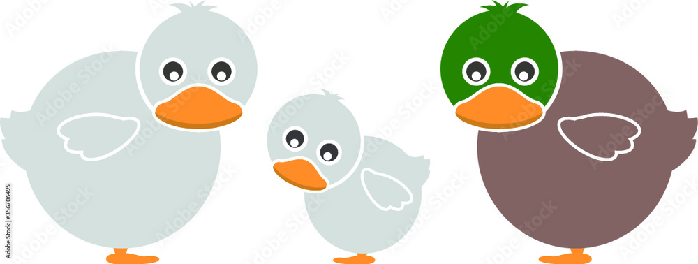 Set of Farm Animal - Duck, Vector illustration Set of Farm Animal - Duck, Vector illustration