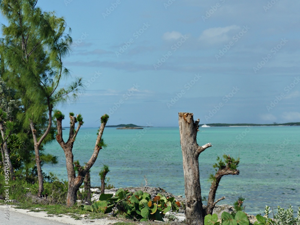 Scenic view from a coastal road with tree stumps alogn the shore in a tropical island