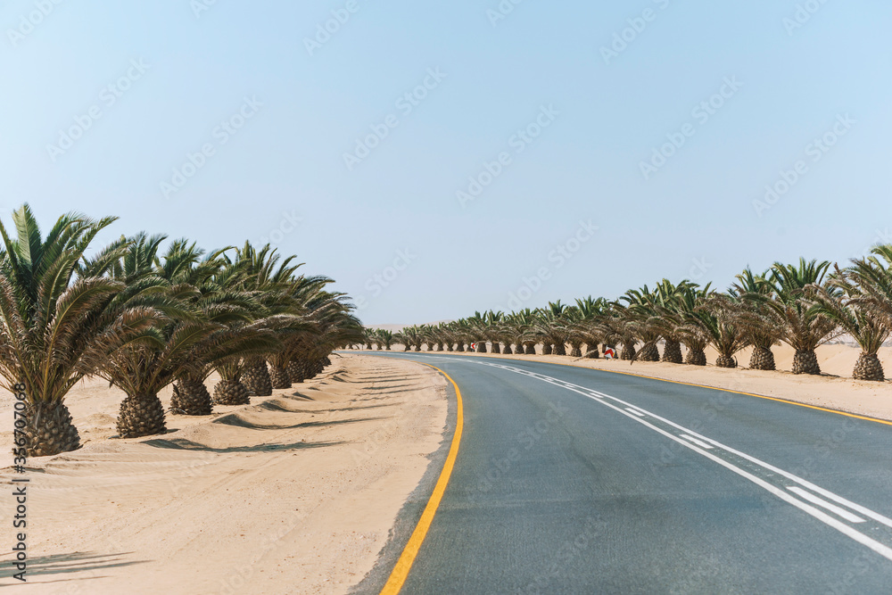 empty desert driveway