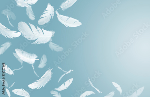 Group of a white bird feathers floating in the air. feather abstract background.