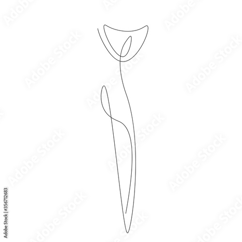 Flower silhouette line drawing, vector illustration