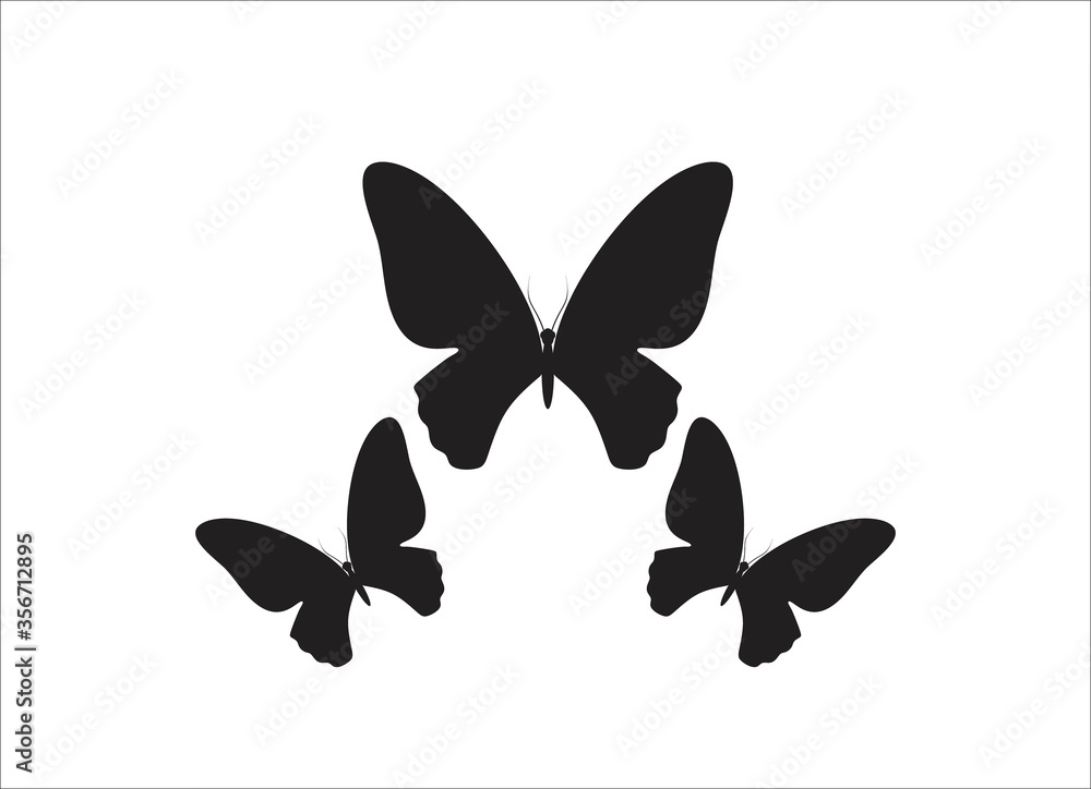 Butterfly silhouette vector on a white background