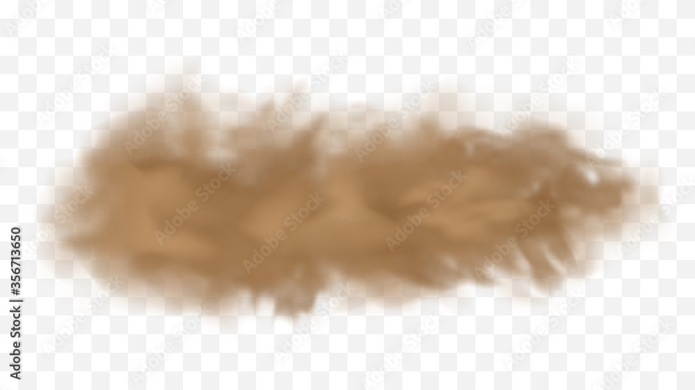 Realistic sand storm illustration. Vector brown dust cloud on transparent background. Air pollution concept.