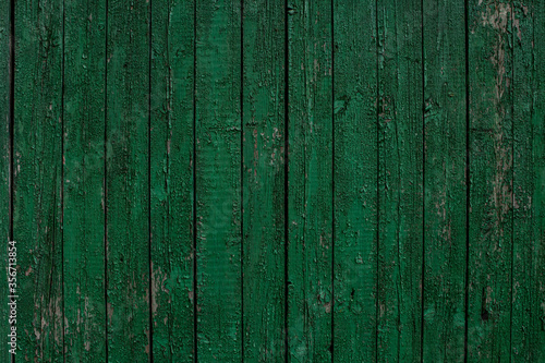 Texture and background old wood painted green paint.