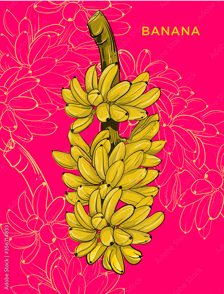 Set of Yellow Bananas. Vector color image Stock Vector | Adobe Stock
