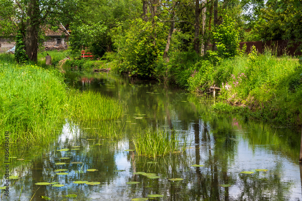 Fototapeta premium Tajemnicza i piękna Dolina Górnej Narwi, Podlasie, Polska