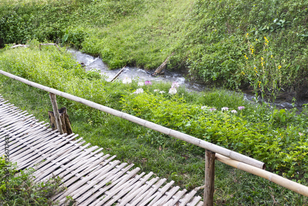 Rural Green grass fields and wooden path with green rice field in Chiangmai province of Thailand.Streams parallel to the bridge Rural Green grass fields and wooden path with green rice field in Chiangmai province of Thailand.Streams parallel to the bridge