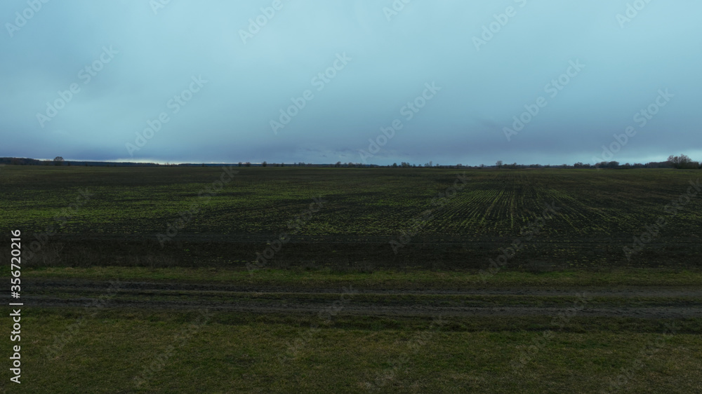 Agricultural field on a cloudy evening. Field landscape. Agricultural field on a cloudy evening. Field landscape.