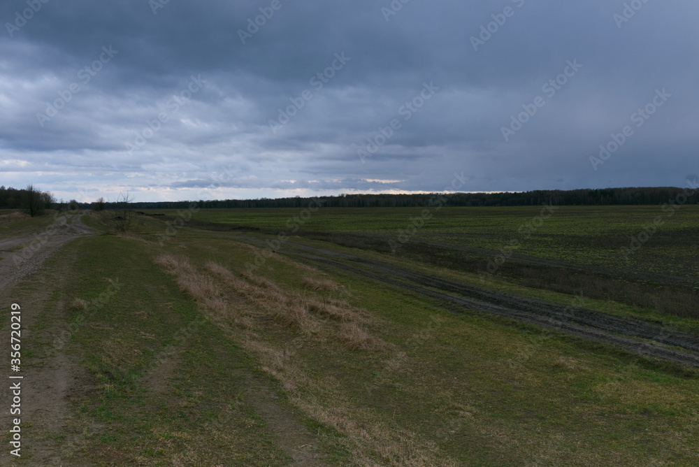 Agricultural field on a cloudy evening. Field landscape. Agricultural field on a cloudy evening. Field landscape.