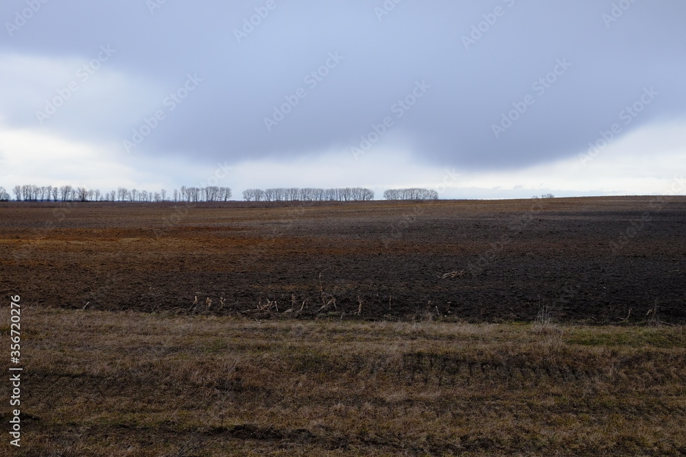 Depleted agricultural field on a cloudy evening. Moody landscape.