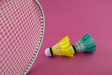 Badminton rackets and feathered shuttlecocks