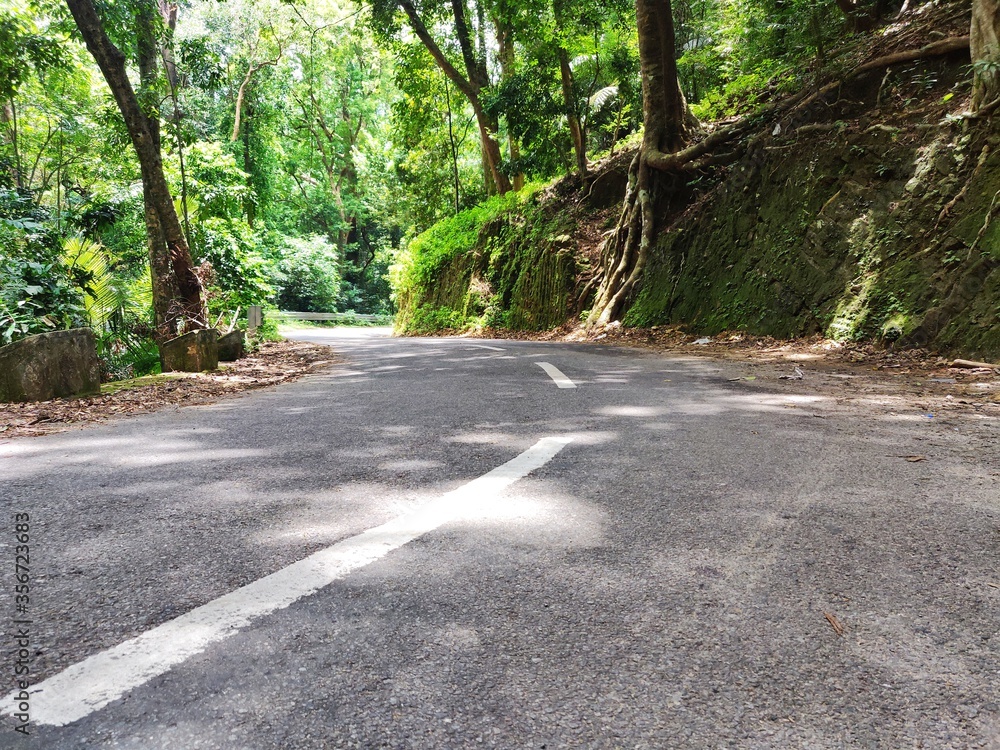 An empty road leading towards the green. Empty road between forest in Ponmudi Hills, Kerala, India. An empty road leading towards the green. Empty road between forest in Ponmudi Hills, Kerala, India.