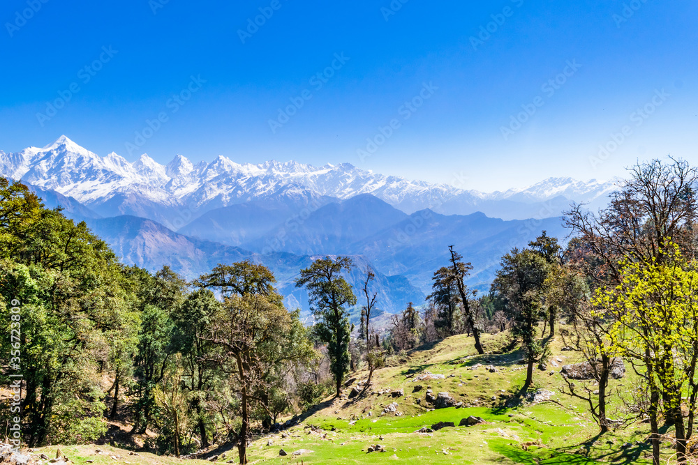 Mesmerizing view of Panchchuli peaks falls in great Himalayan mountain range and alpine grass meadows at small hamlet Munsiyari, Kumaon region, Uttarakhand, India.