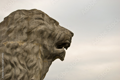 cabeza de león de cemento en betanzos, a coruña, España photo