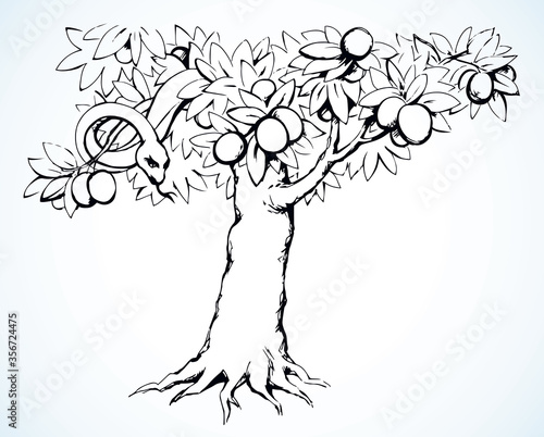 Serpent on the tree. Knowledge of good and evil. Vector drawing