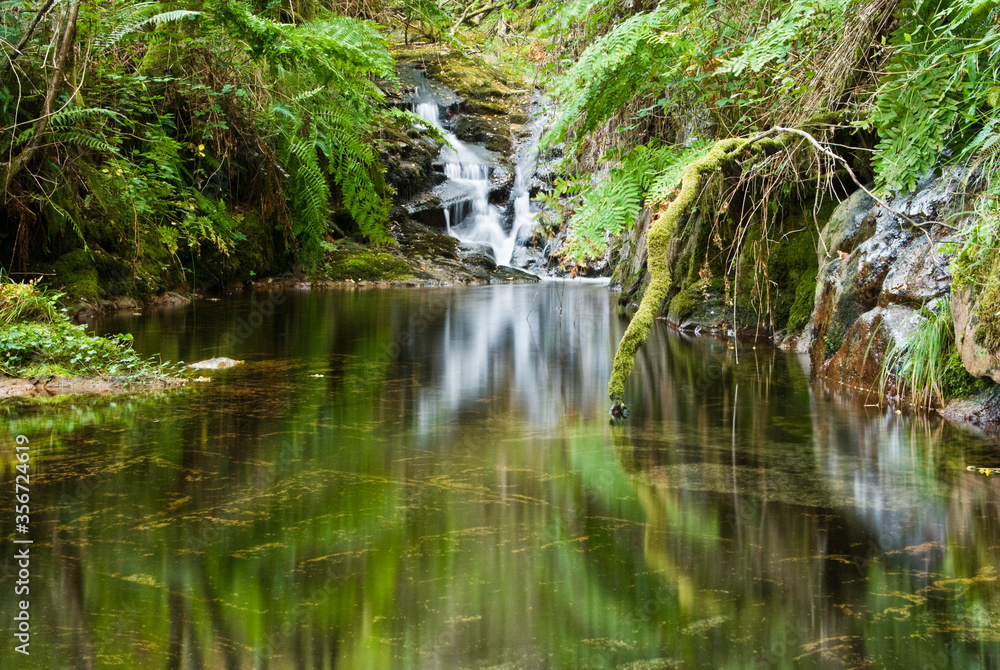hermoso paisaje fluvial en lo más profundo de un bosque húmedo con pequeña cascada y reflejo de la vegetación en el la lámina de agua en el Xures, ourense, galicia, españa hermoso paisaje fluvial en lo más profundo de un bosque húmedo con pequeña cascada y reflejo de la vegetación en el la lámina de agua en el Xures, ourense, galicia, españa