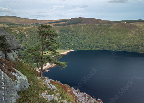 Pine tree over Lough Tay in Wicklow National Park. Ireland.