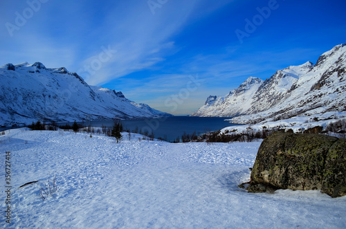 snowy mountain with sunshine blue sky and fjord landscape © Arcticphotoworks