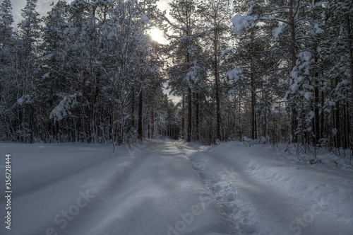 car tracks after small snowy forest road in wintertime with sunshine © Arcticphotoworks