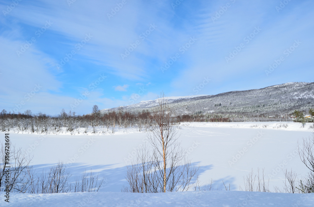 frozen river landscape with forest and sunny blue sky frozen river landscape with forest and sunny blue sky