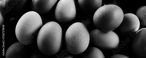 Group of chicken eggs closeup in black and white.