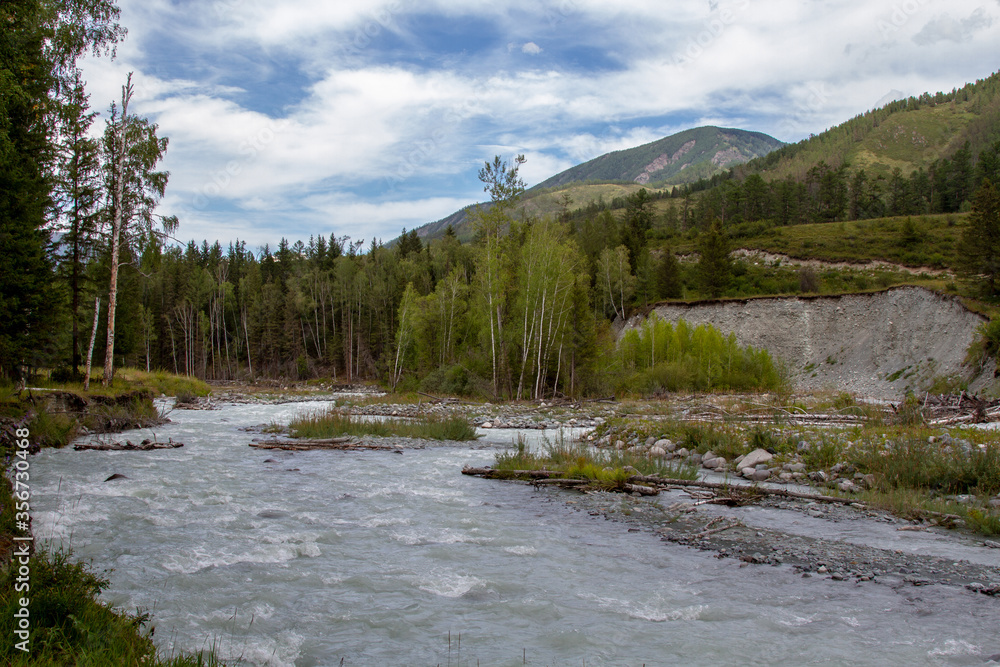 Stormy, mountain river in Altai, on the background of mountain peaks with dense vegetation along the banks Stormy, mountain river in Altai, on the background of mountain peaks with dense vegetation along the banks