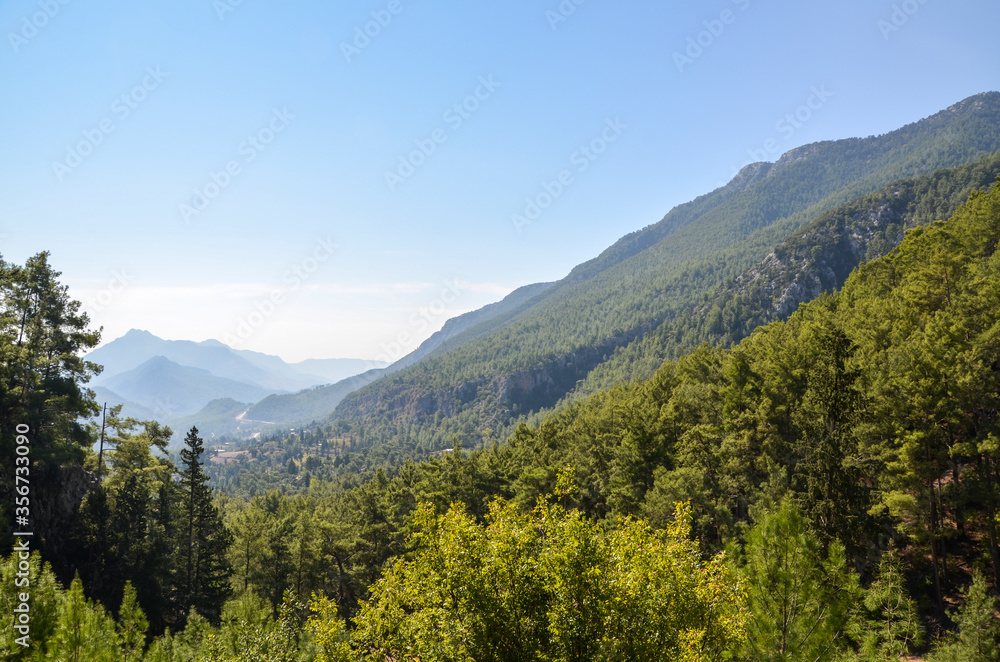 A landscape view of pine trees in the mountains seen from the Lycian way trail near Mount Olympos or Tahtali near Antalya, Turkey