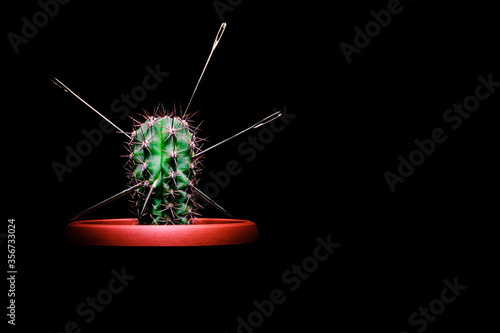 Canvastavla Large metal needles pierce a green cactus on a black background