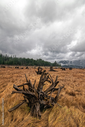 Keechelus Lake, Snoqualmie Pass Washington photo