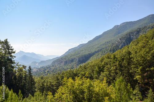 A landscape view of pine trees in the mountains seen from the Lycian way trail near Mount Olympos or Tahtali near Antalya, Turkey