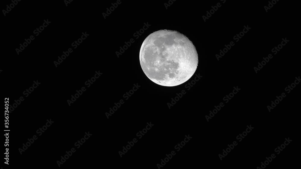 Full moon with no light polution taken from a american jungle. Full moon with no light polution taken from a american jungle.