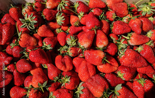 lots of strawberries