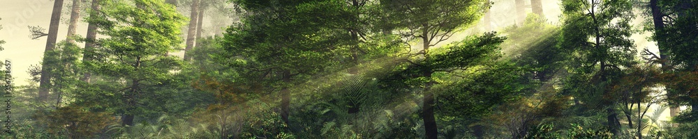 Trees in the rays, the forest in the fog, morning haze in the forest, a ray of sun in the forest, 3D rendering Trees in the rays, the forest in the fog, morning haze in the forest, a ray of sun in the forest, 3D rendering