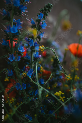 Bouquet of colorful wildflowers, closeup