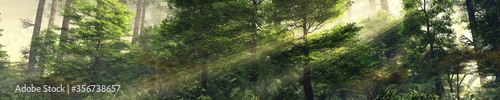 Trees in the rays, the forest in the fog, morning haze in the forest, a ray of sun in the forest, 3D rendering