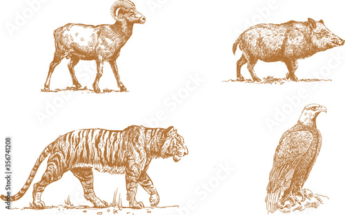 animals
