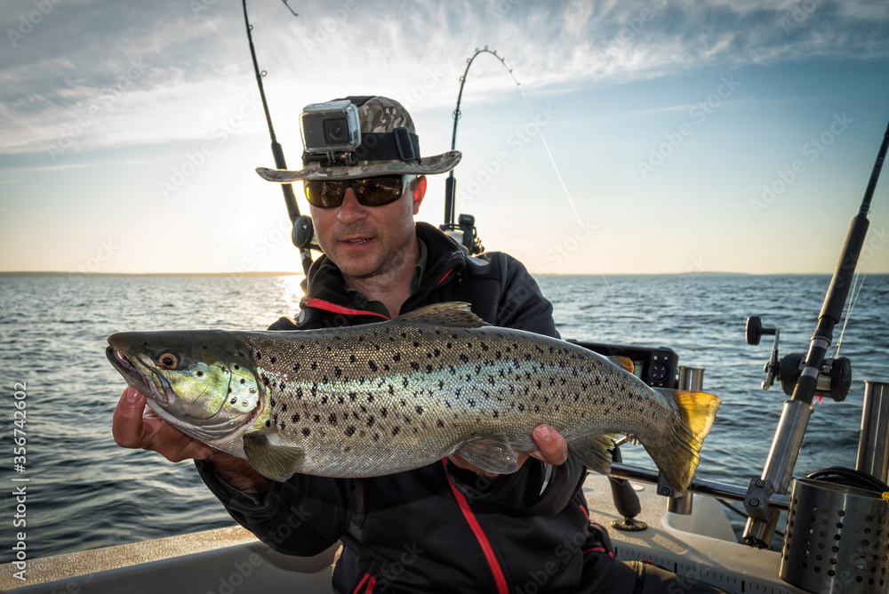 Huge lake trout caught before the sunset Huge lake trout caught before the sunset
