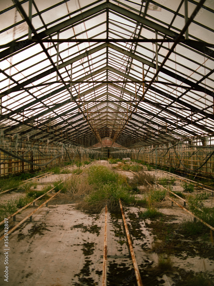 Abandoned Greenhouse Abandoned Greenhouse