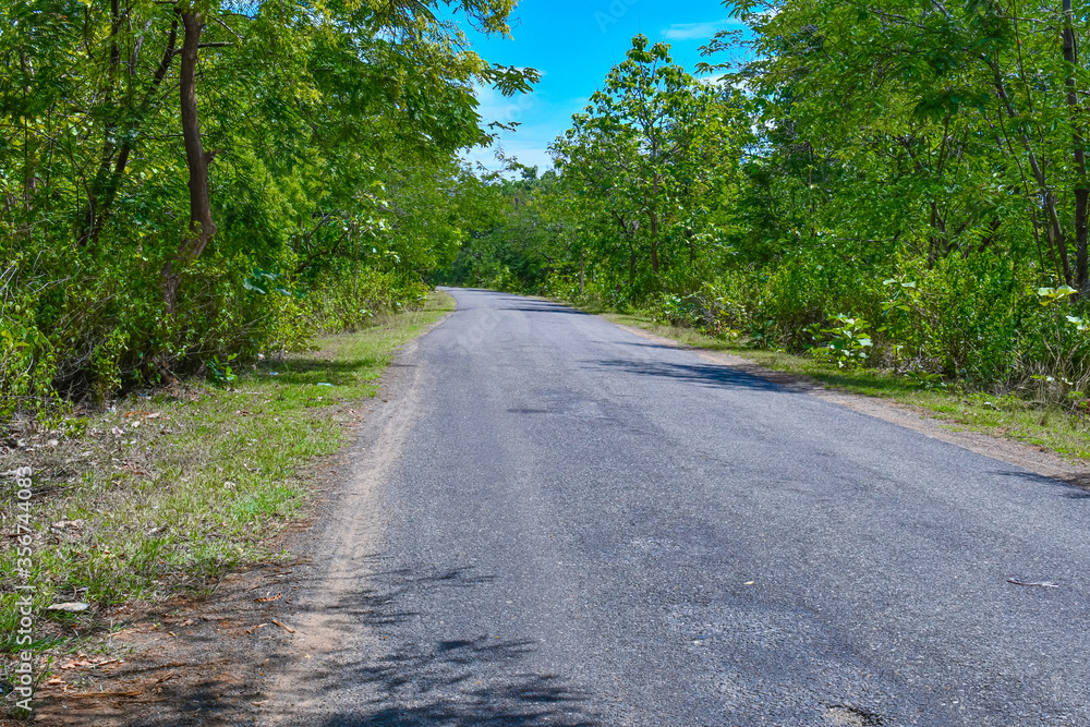 Black Road Image Including Gree Tree & Blue Sky 2. Black Road Image Including Gree Tree & Blue Sky 2.