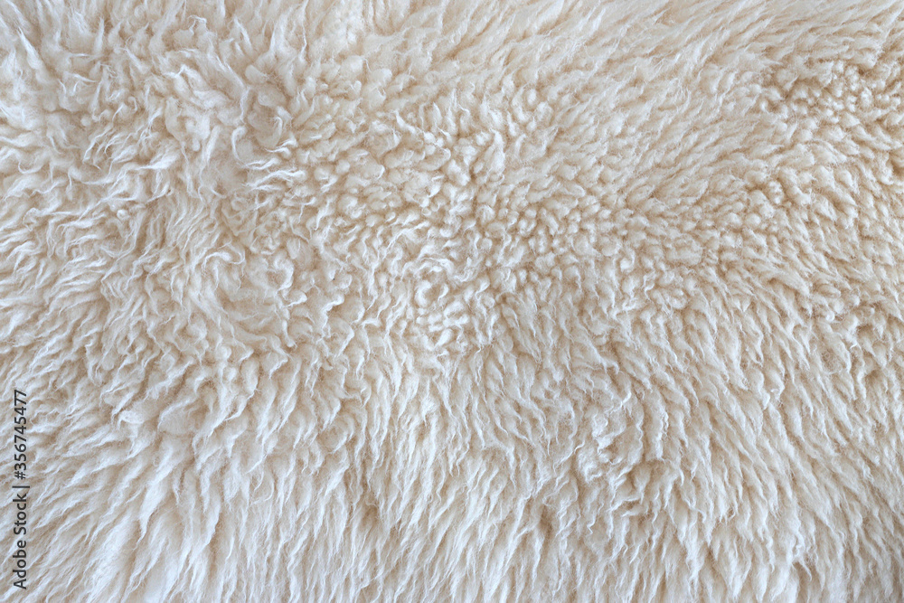 Texture of wool skin. Sheep skin closeup, background, banner Texture of wool skin. Sheep skin closeup, background, banner